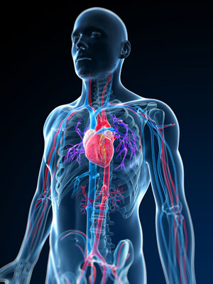 Eco-doppler en Q Diagnostica